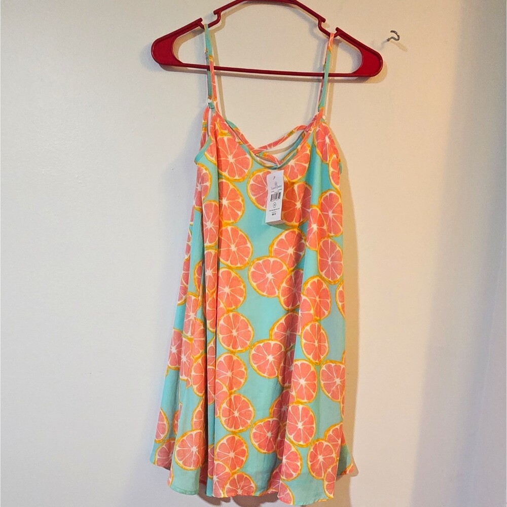 Lauren James XS Sleeveless V-Neck Polyester Dress Fruit Print Blue Pink Orange